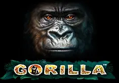 Gorilla. 